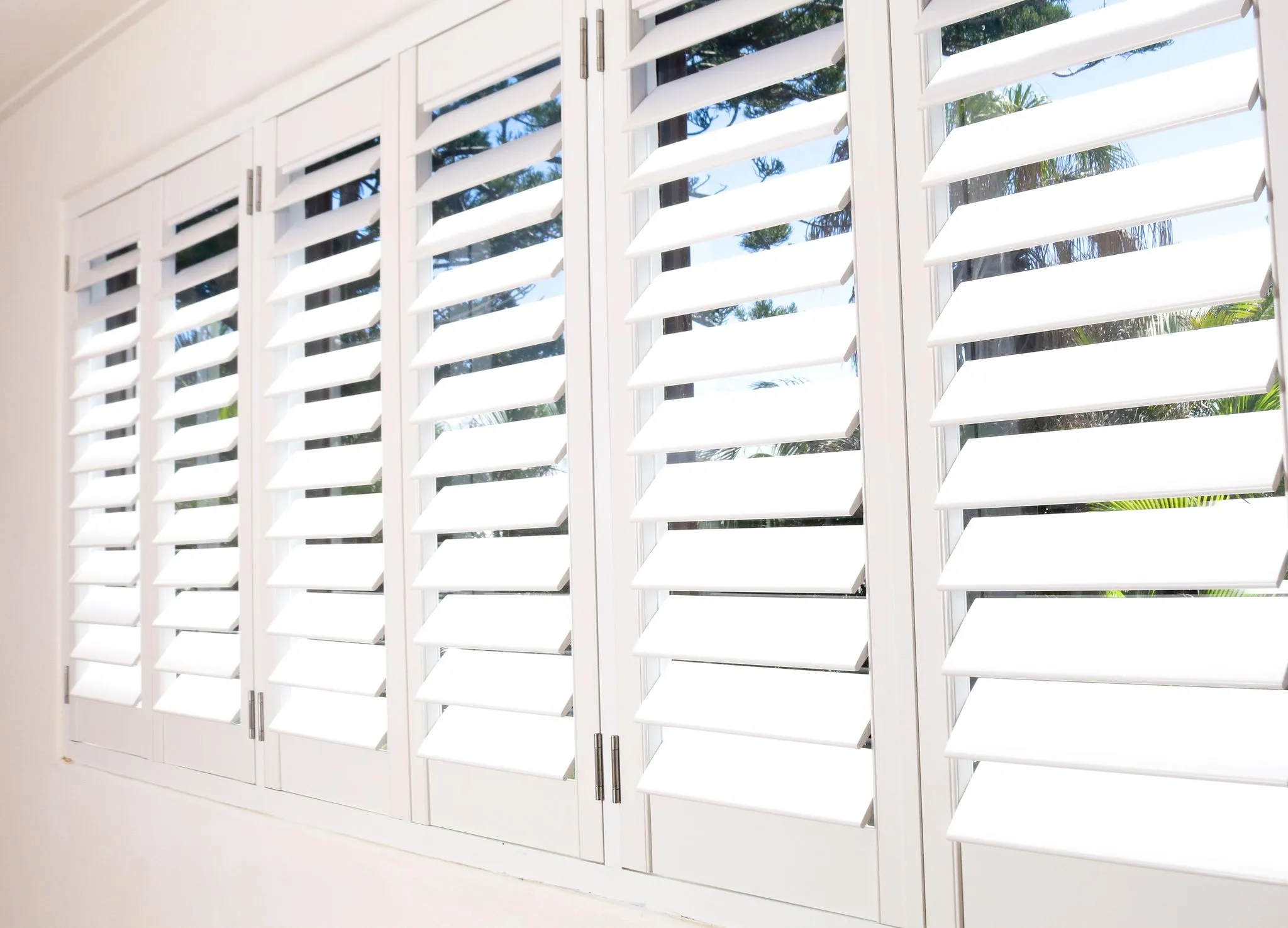 window plantation shutters